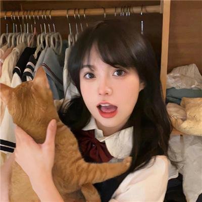 凡妮莎海辛第五季